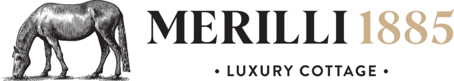 Merilli 1885 Logo Horizontal